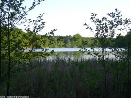 2008-cimg2716-klein