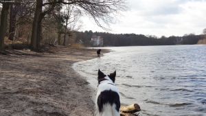 2015-03-03-dsc08191-grunewaldsee-klein