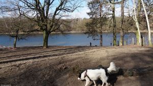 2015-03-03-dsc08202-grunewaldsee-klein