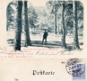 1901-durchblick-auf-das-jagdschloss-klein