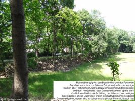 2012-06-17-210-hundekehle-klein
