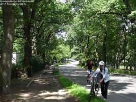 2012-06-17-213-hundekehle-klein