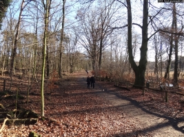 2012-12-30-grunewaldsee-jagdschloss-paulsborn-001-klein