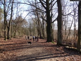 2012-12-30-grunewaldsee-jagdschloss-paulsborn-002-klein