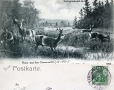 1905-rehe-im-grunewald
