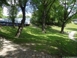 2012-06-17-106-hundekehle-klein