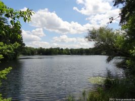 2012-06-17-111-hundekehle-klein