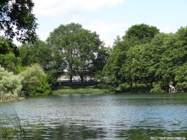 2012-06-17-127-hundekehle-klein