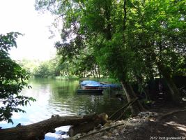 2012-06-17-141-hundekehle-klein