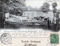 1900-12-25-hundekehle-foersterei-klein
