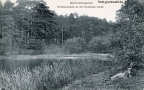 1910-waldlandschaft-krumme-lanke-rsoa