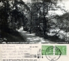 1951-krumme-lanke-weg