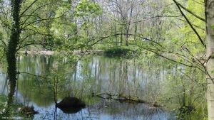 2010-04-25-murellensee-cimg9438-klein
