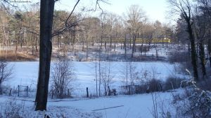 2016-01-18-089-murellensee-klein