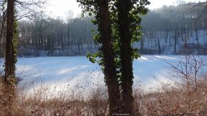 2016-01-18-109-murellensee-klein