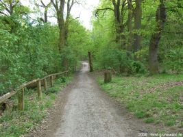 2008-05-05-postfenn-04-klein