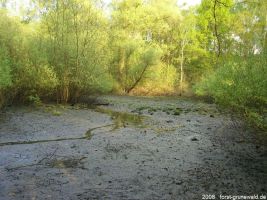 2008-05-05-postfenn-20-klein