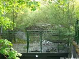 2008-05-05-postfenn-35-klein