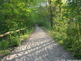 2008-05-05-postfenn-39-klein