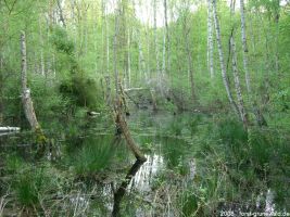 2008-05-05-postfenn-57-klein