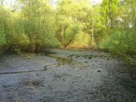 2008-postfenn-cimg2541