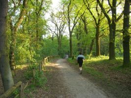 2008-postfenn-cimg2573