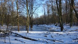 2017-01-17-postfenn-dsc00998-klein