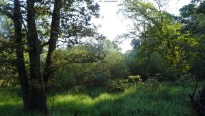 2019-08-28-postfenn-dsc01081-klein