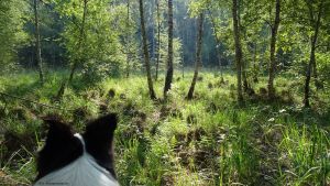 2019-08-28-postfenn-dsc01089-klein