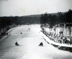 1930-grunewald-rodelbahn-klein