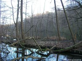 2007-02-03-cimg2781-klein