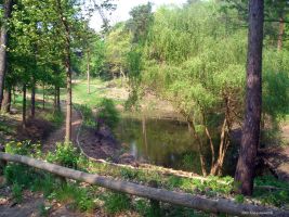 2006-05-07-gruener-teich-f254186767-klein