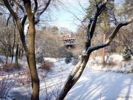 2016-01-18-dsc03379-gruener-teich-klein