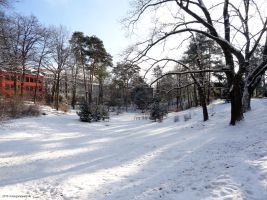 2016-01-18-dsc03387-gruener-teich-klein