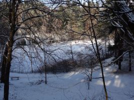 2016-01-18-sausuhlensee-dsc03397-klein