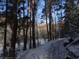 2016-01-18-sausuhlensee-dsc03403-klein