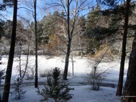 2016-01-18-sausuhlensee-dsc03404-klein