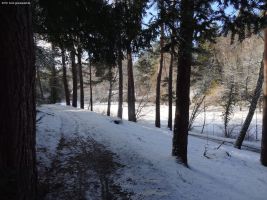 2016-01-18-sausuhlensee-dsc03406-klein