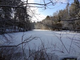 2016-01-18-sausuhlensee-dsc03412-klein