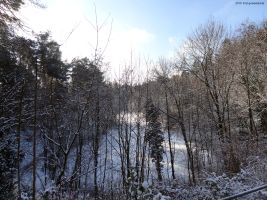 2016-01-18-sausuhlensee-dsc03414-klein