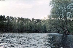 1955-schlachtensee-06-klein