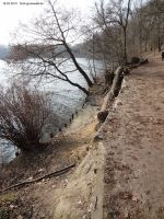 2015-03-16-schlachtensee-westufer-008-klein
