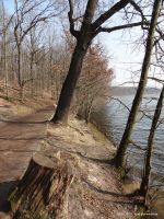 2015-03-16-schlachtensee-westufer-010-klein