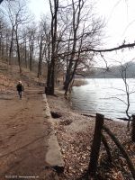 2015-03-16-schlachtensee-westufer-022-klein