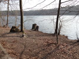 2015-03-16-schlachtensee-westufer-042-klein