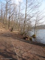 2015-03-16-schlachtensee-westufer-044-klein