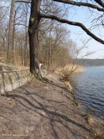 2015-03-16-schlachtensee-westufer-045-klein