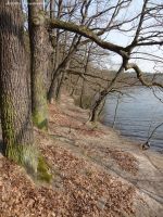 2015-03-16-schlachtensee-westufer-051-klein