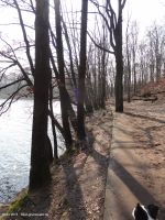 2015-03-16-schlachtensee-westufer-082-klein