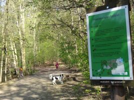 2015-04-29-schlachtensee-dsc09387-klein